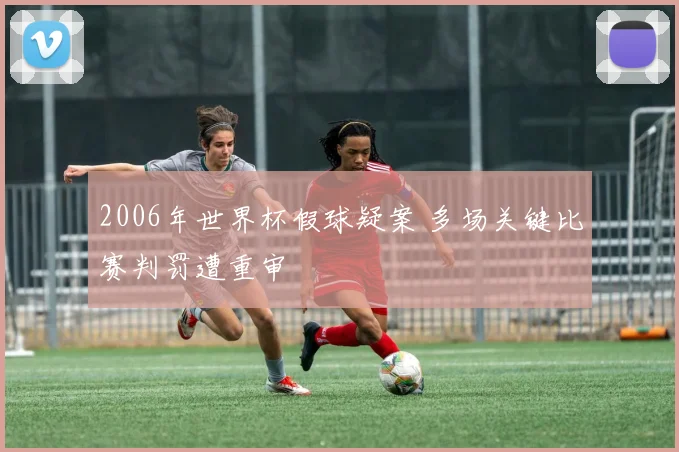 2006年世界杯假球疑案 多场关键比赛判罚遭重审