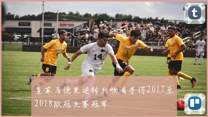 皇家马德里逆转利物浦夺得2017至2018欧冠决赛冠军