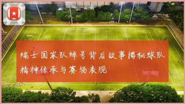 瑞士国家队绰号背后故事揭秘球队精神传承与赛场表现