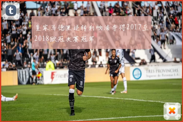 皇家马德里逆转利物浦夺得2017至2018欧冠决赛冠军